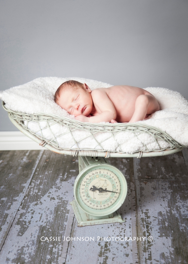 Newborn Photography | Vintage Scale